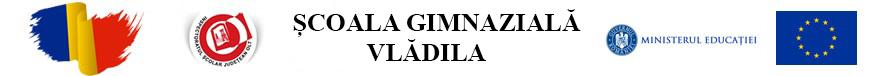 Școala Gimnazială Vlădila